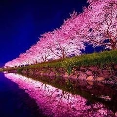 まちよ