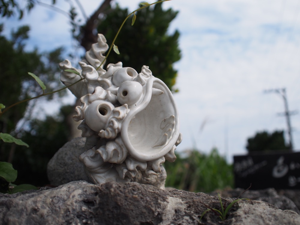 kinjiu_a