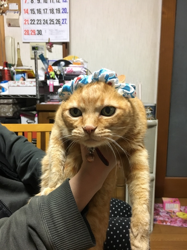 愛知の鈴菌