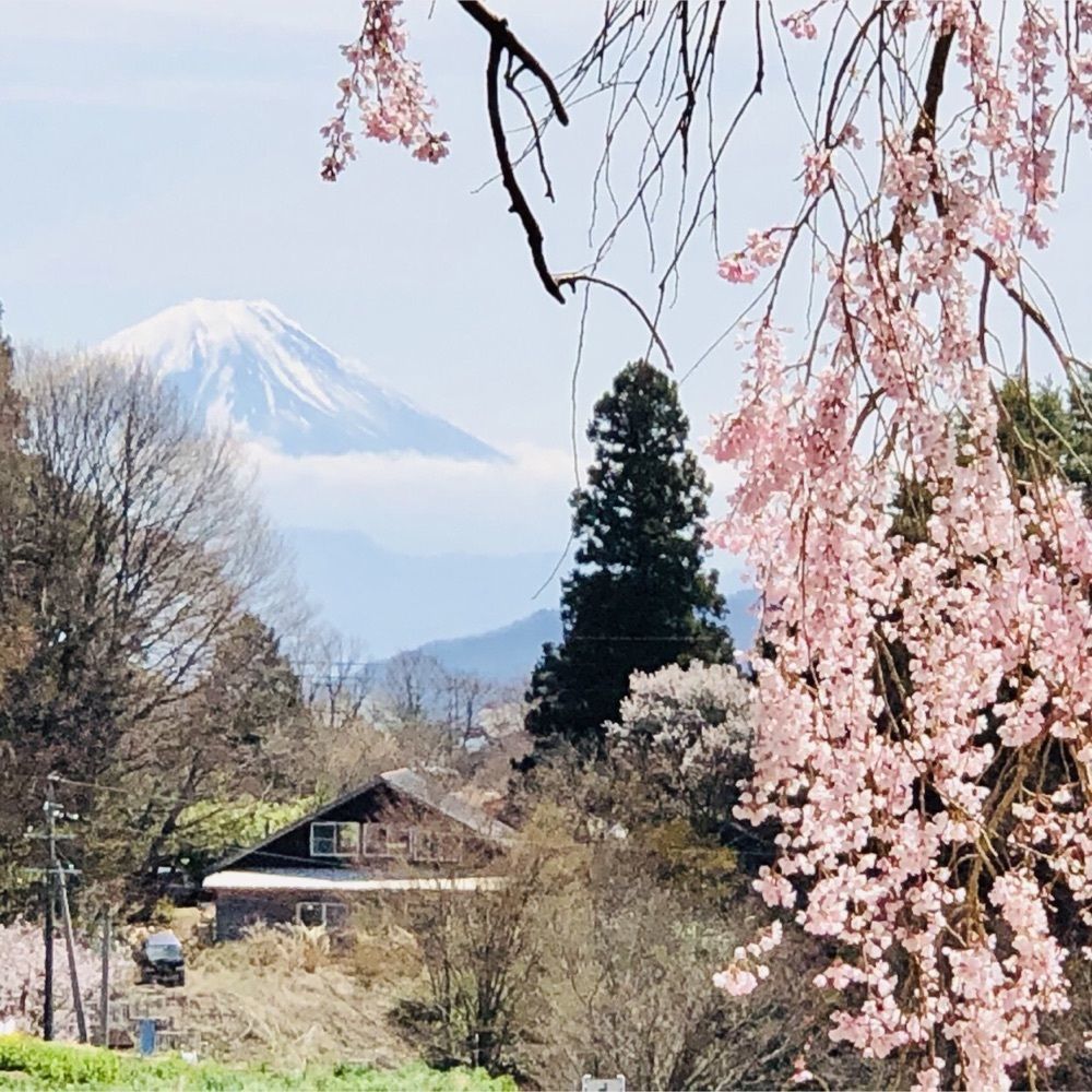 それなはとけ