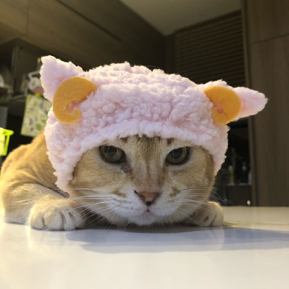 Mimimo