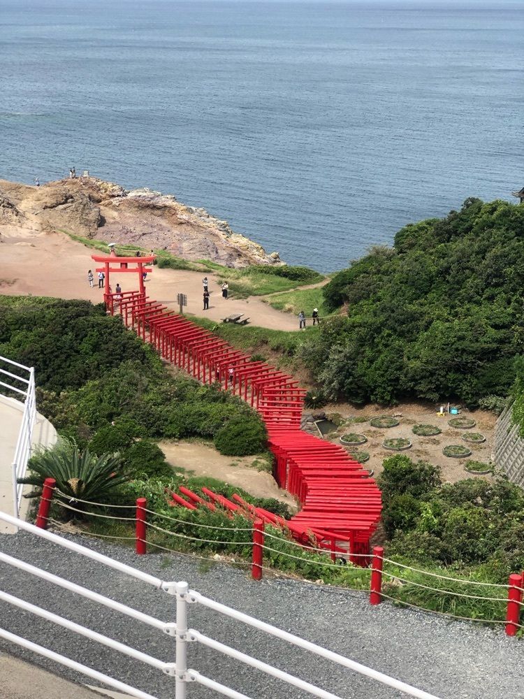 癒しの夢