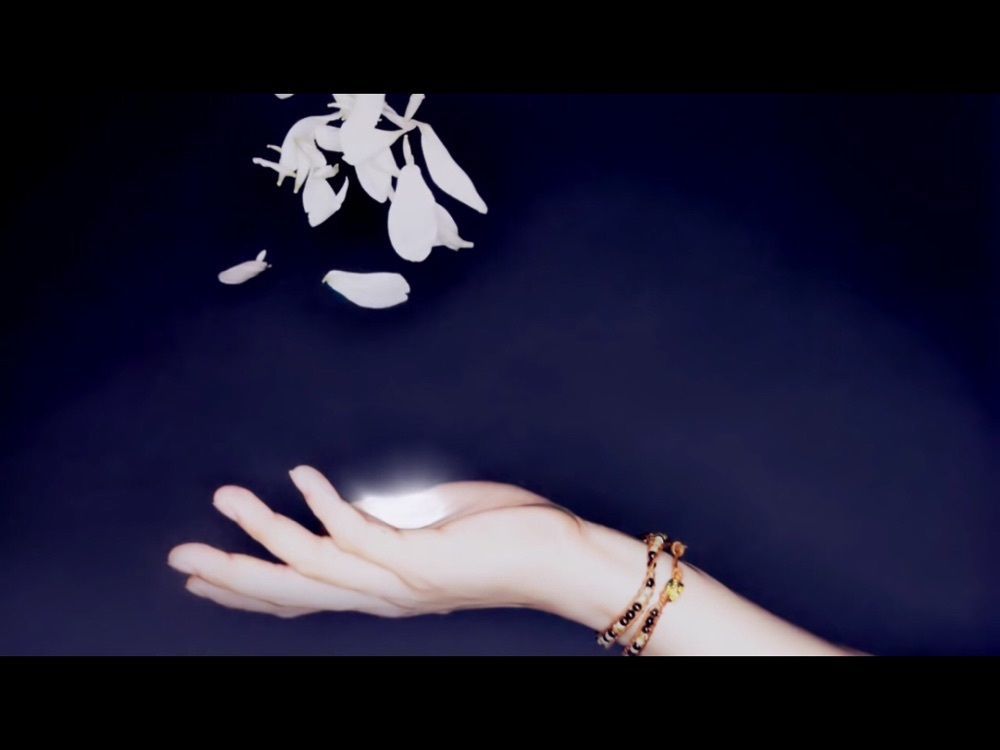 一花