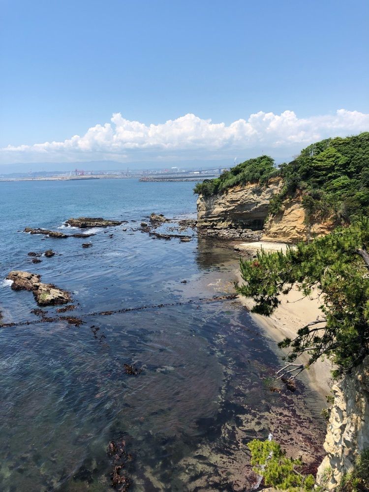 海