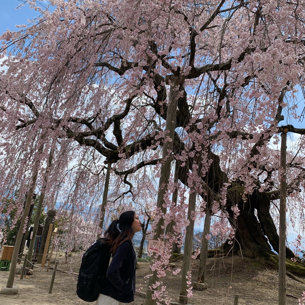 annko(/ω*＊) 