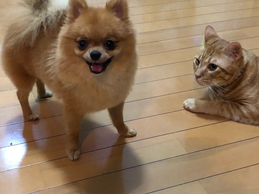 みや