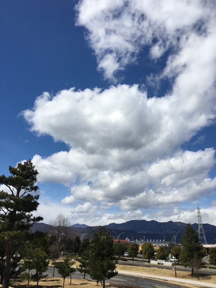 shin＿shin