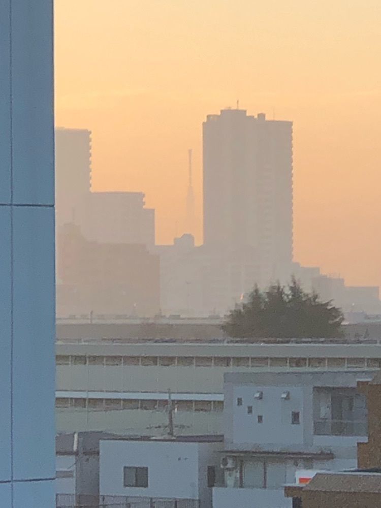 fresh_city_5953