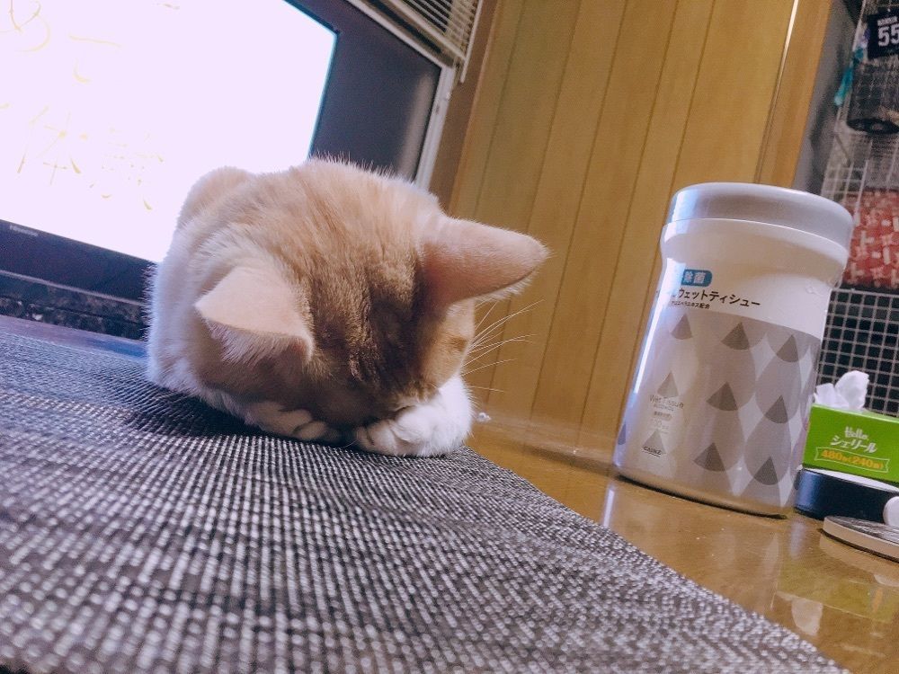 サインコサインタンジェント