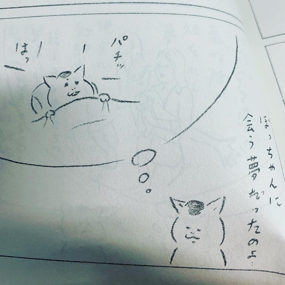 コロコロパンダ