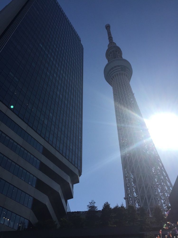 tatsu.1117