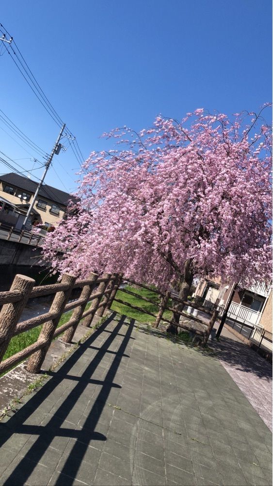 o.koki_1320