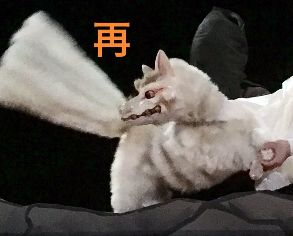 九尾の狐