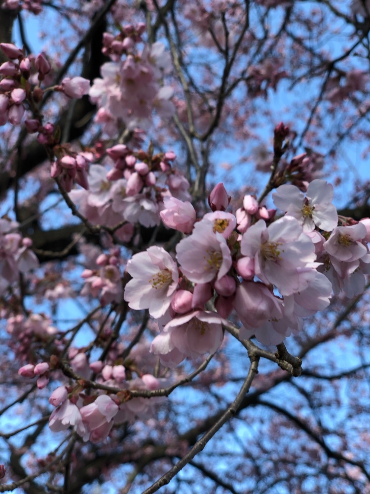 くぅー