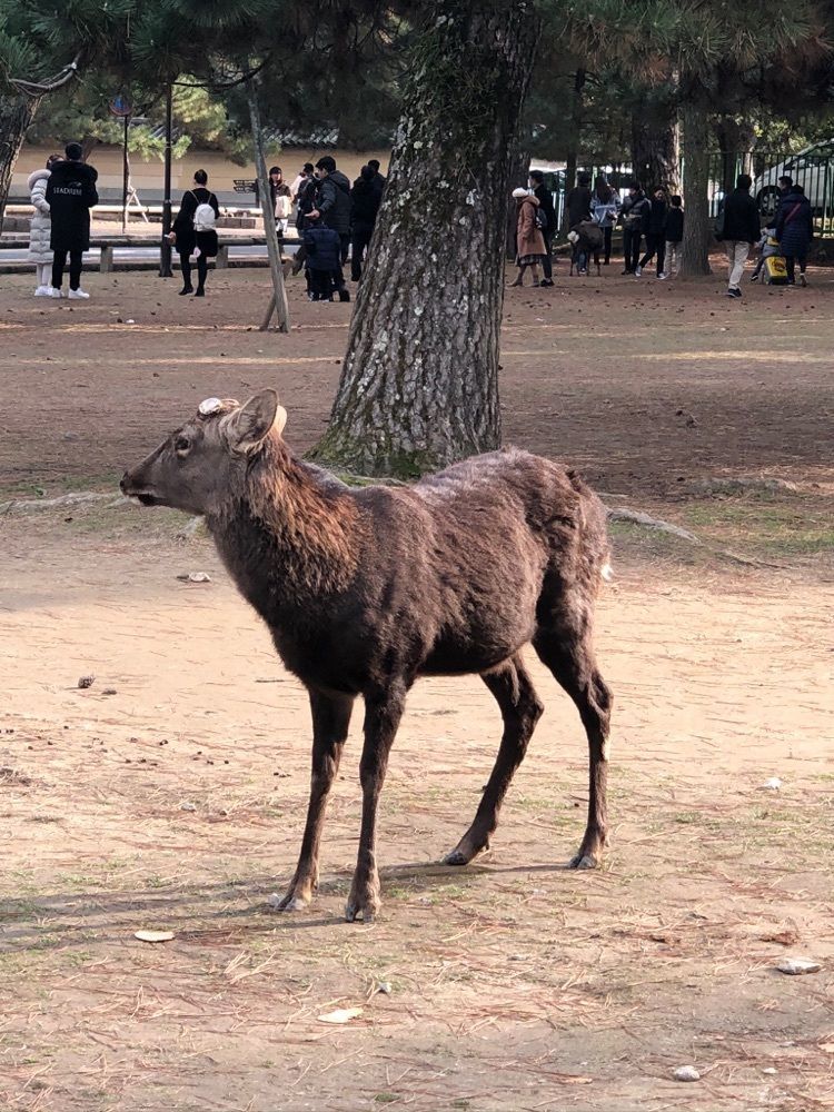 とも