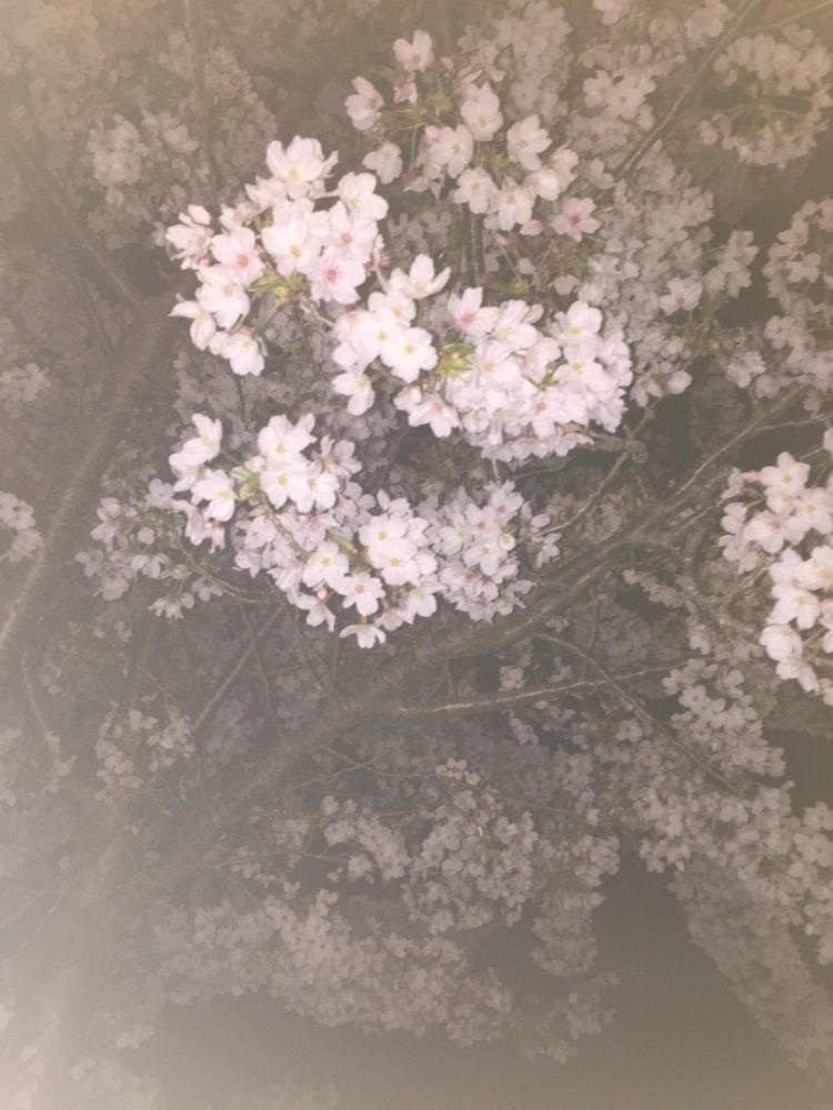 MITURU