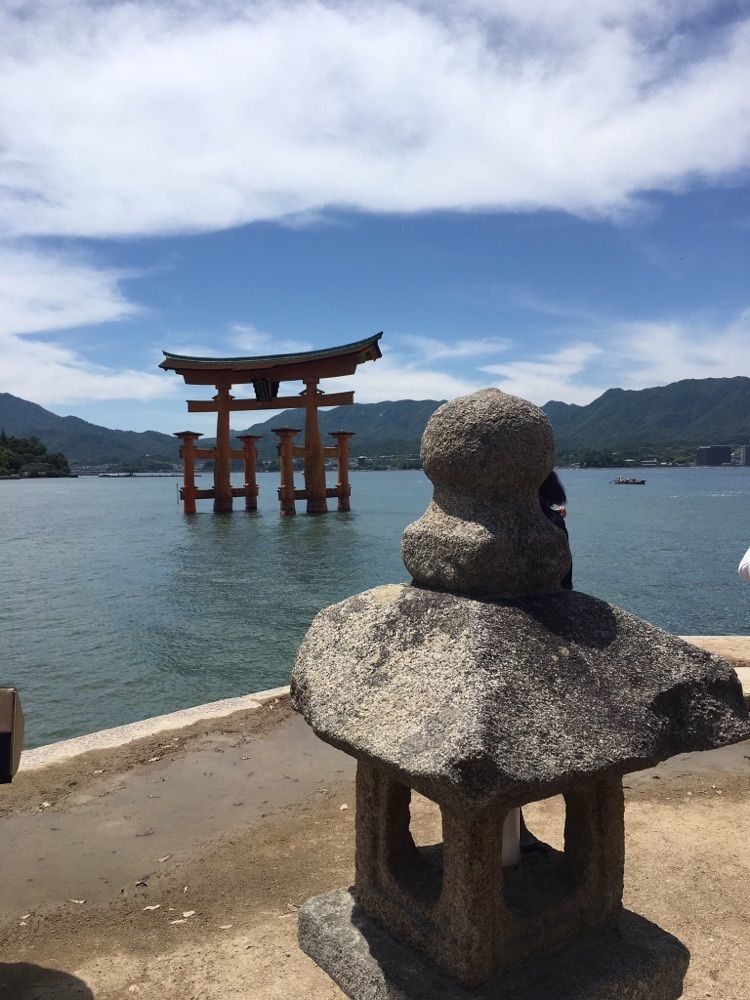 タマさん