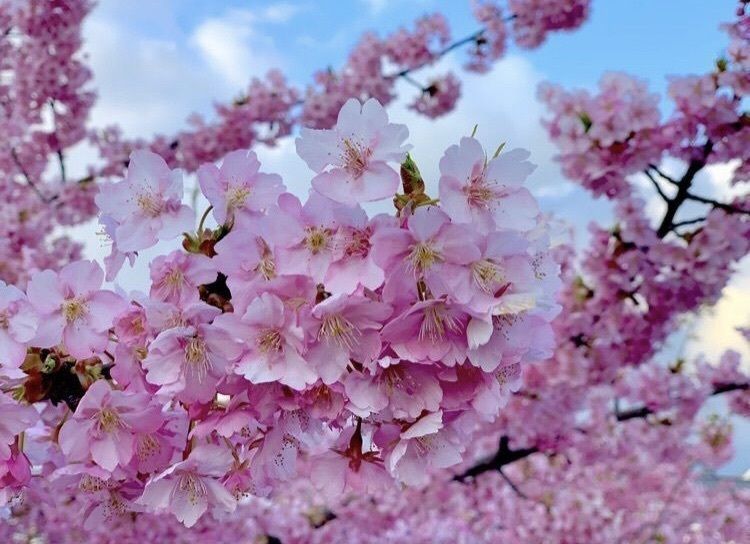maaaki♡