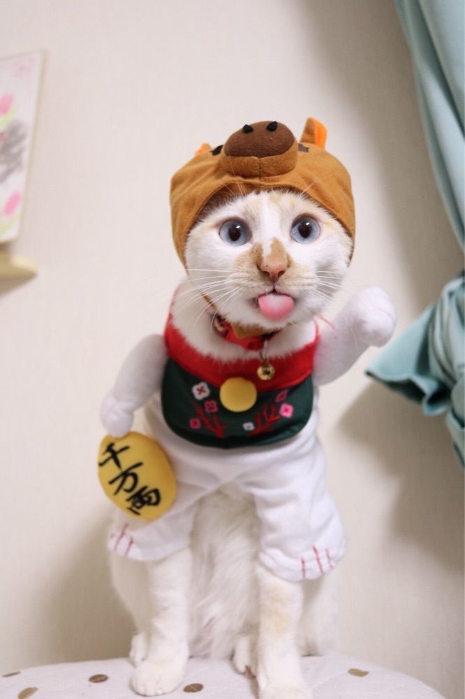 ちー