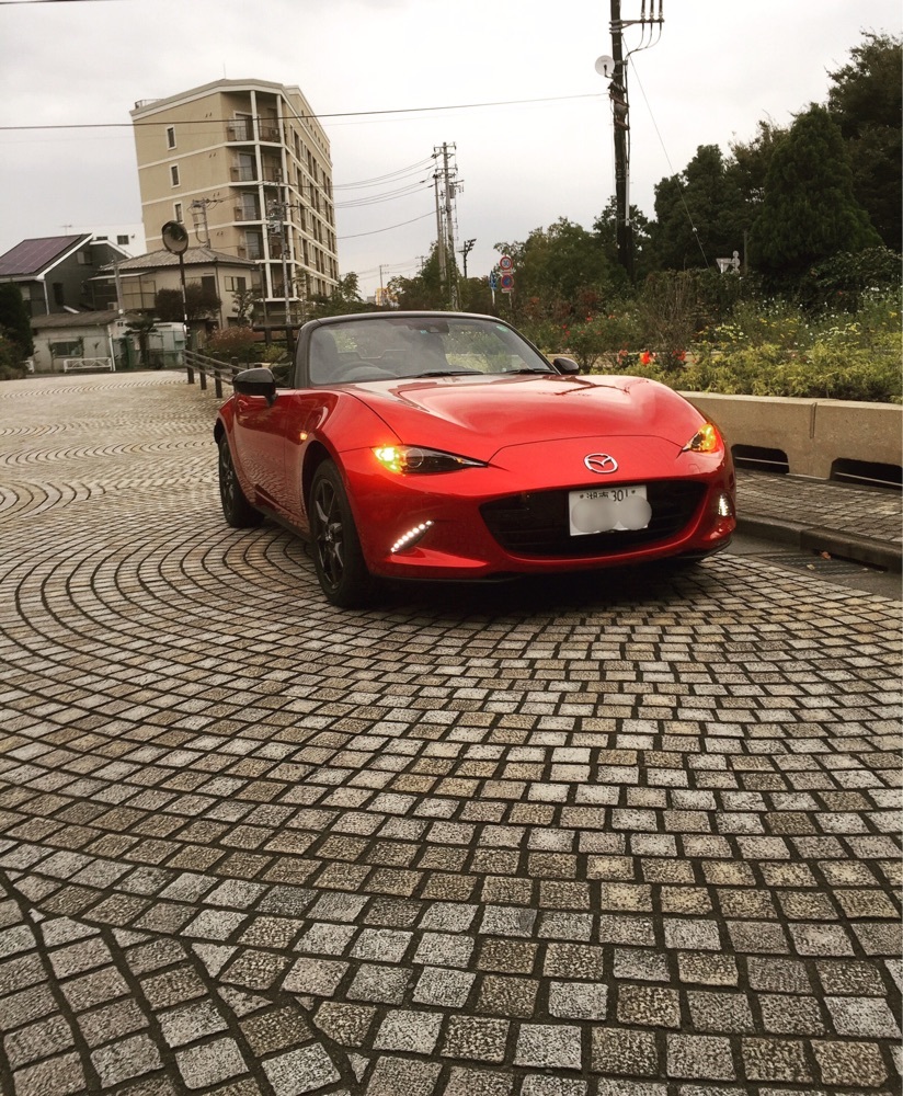 ライオンハート