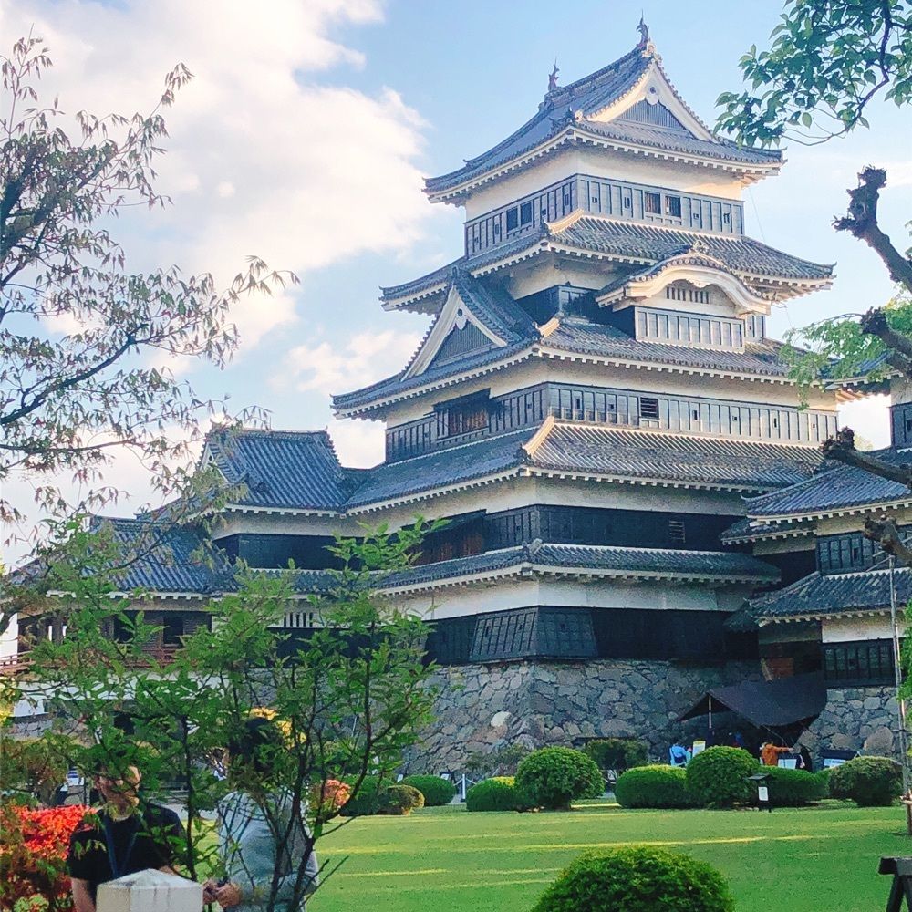お花畑の旅