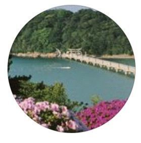 蒲郡観光協会