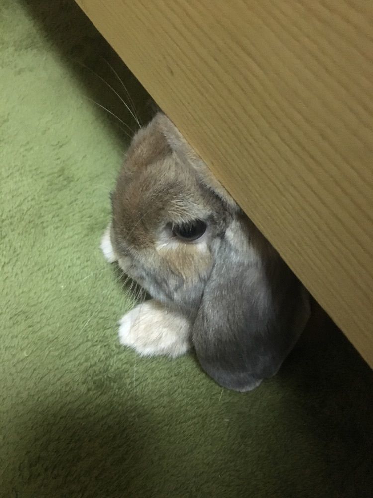 warm_lucky