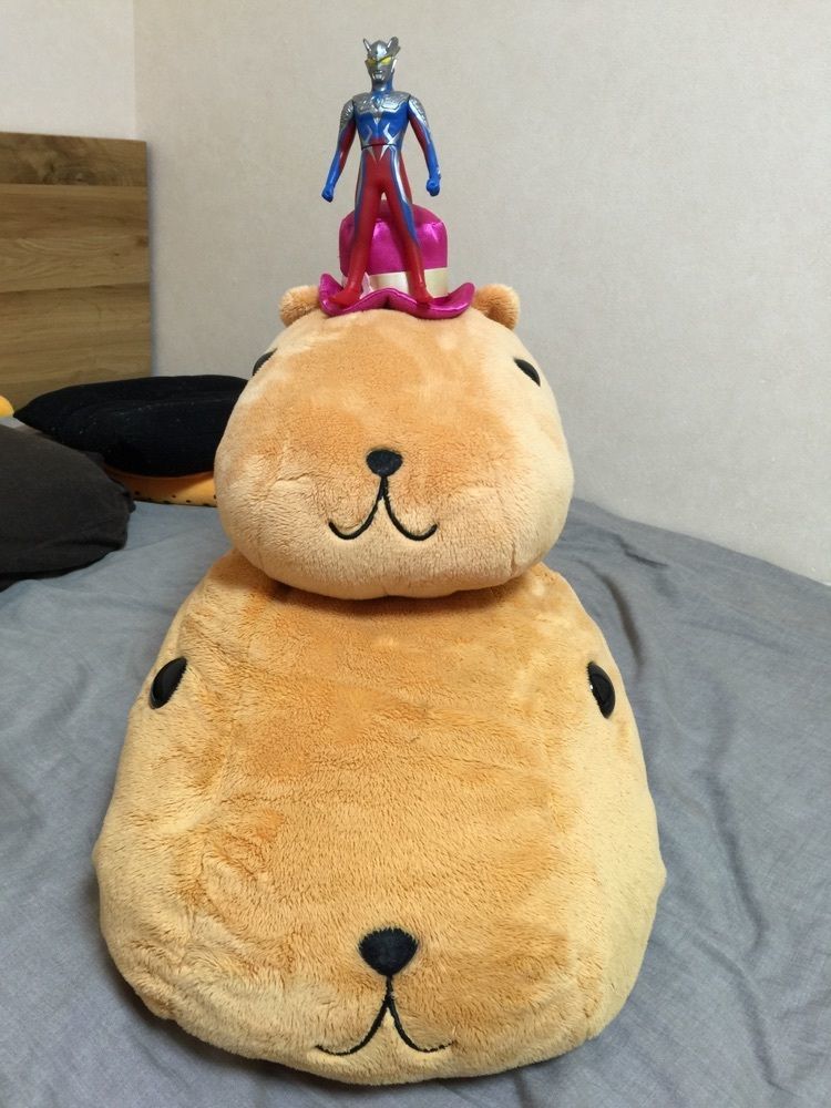 カピバラ