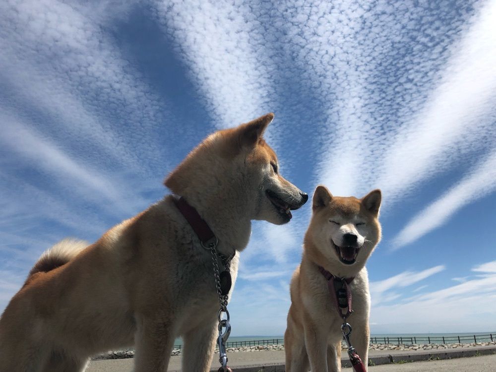 ryuta  風&海