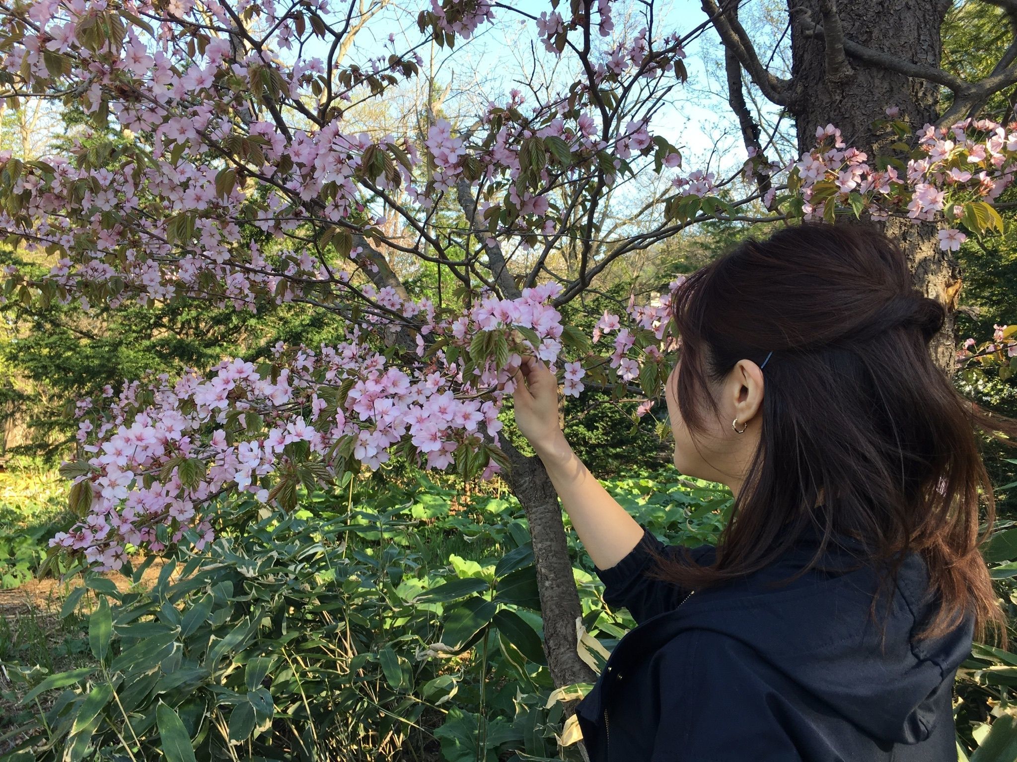 ゆるふわOL
