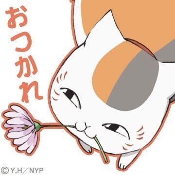 にゃんこ先生