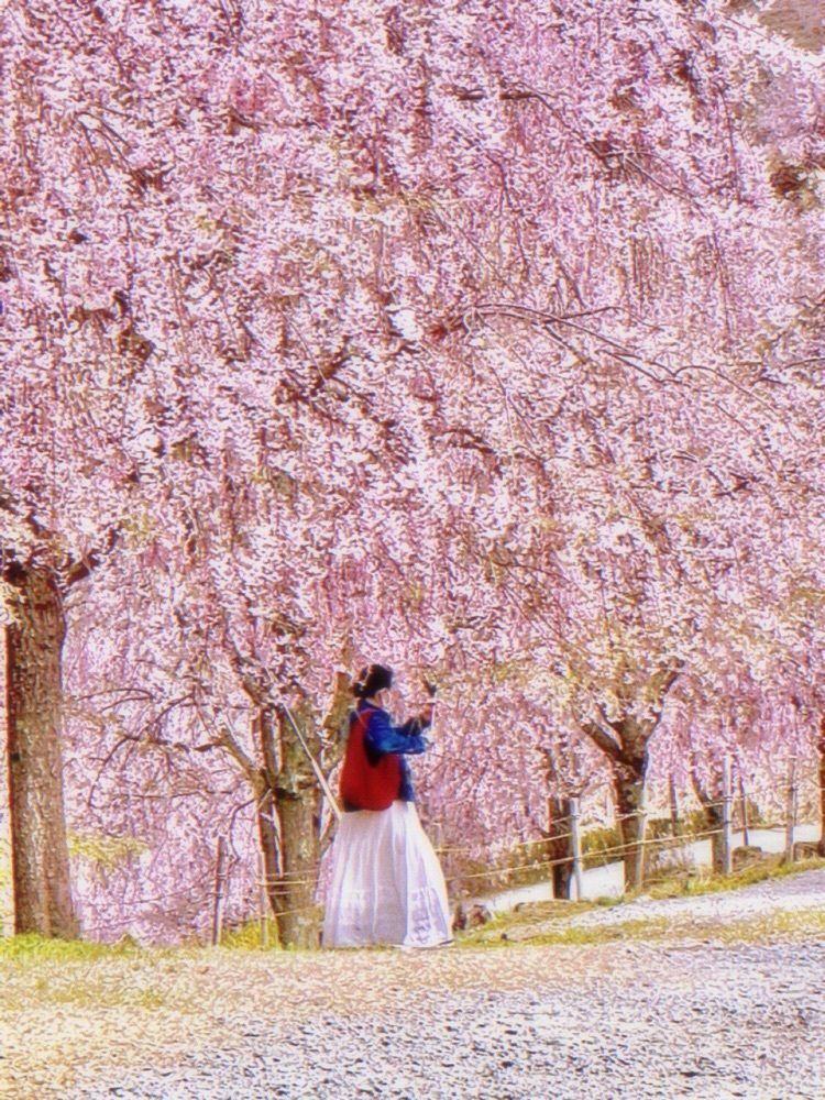 yuki 5548