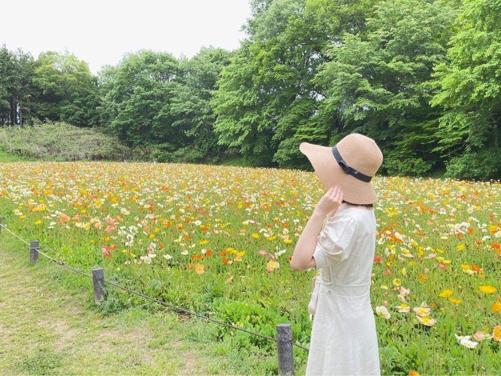 もちおもち