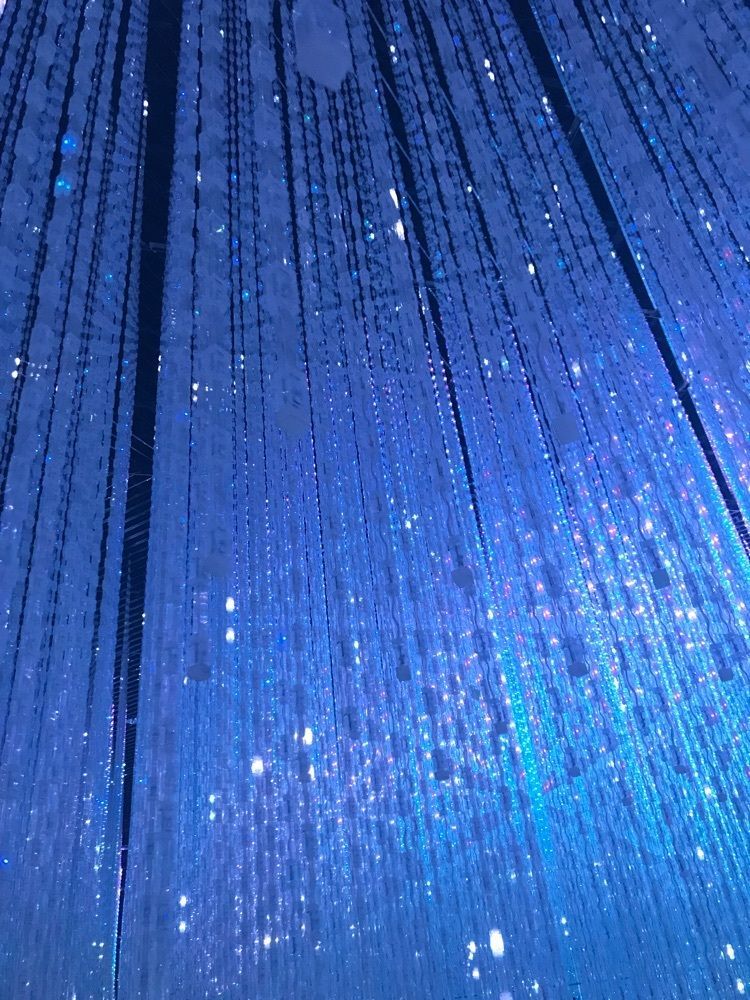 w 林檎