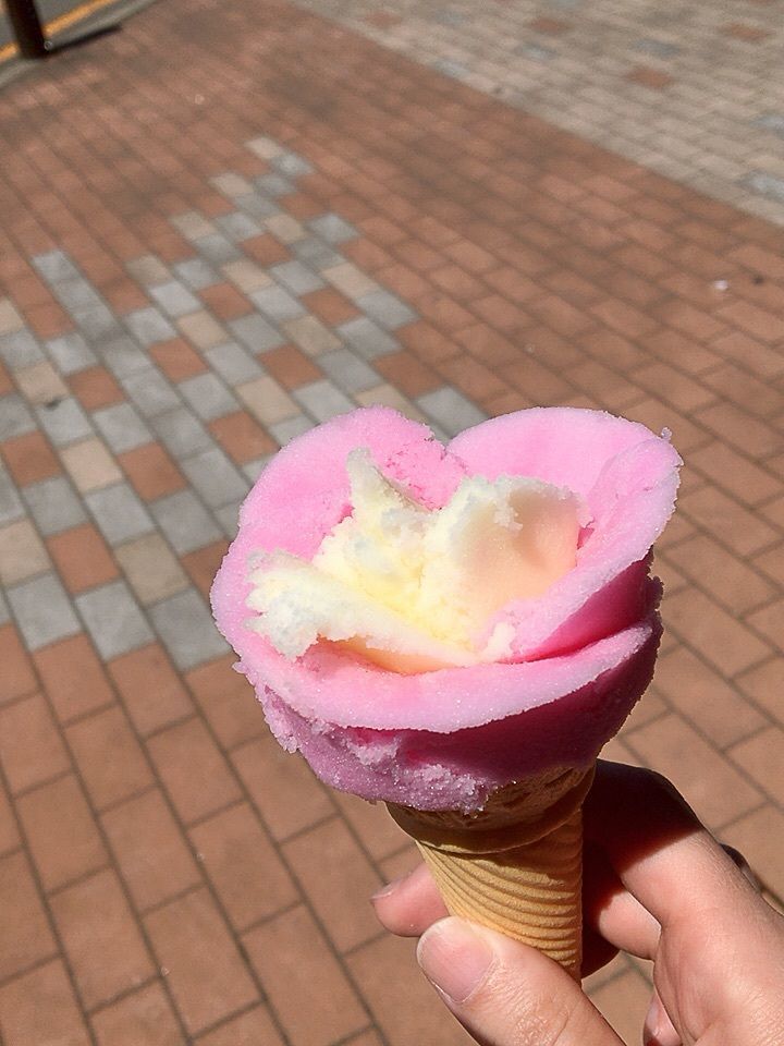 akitachan