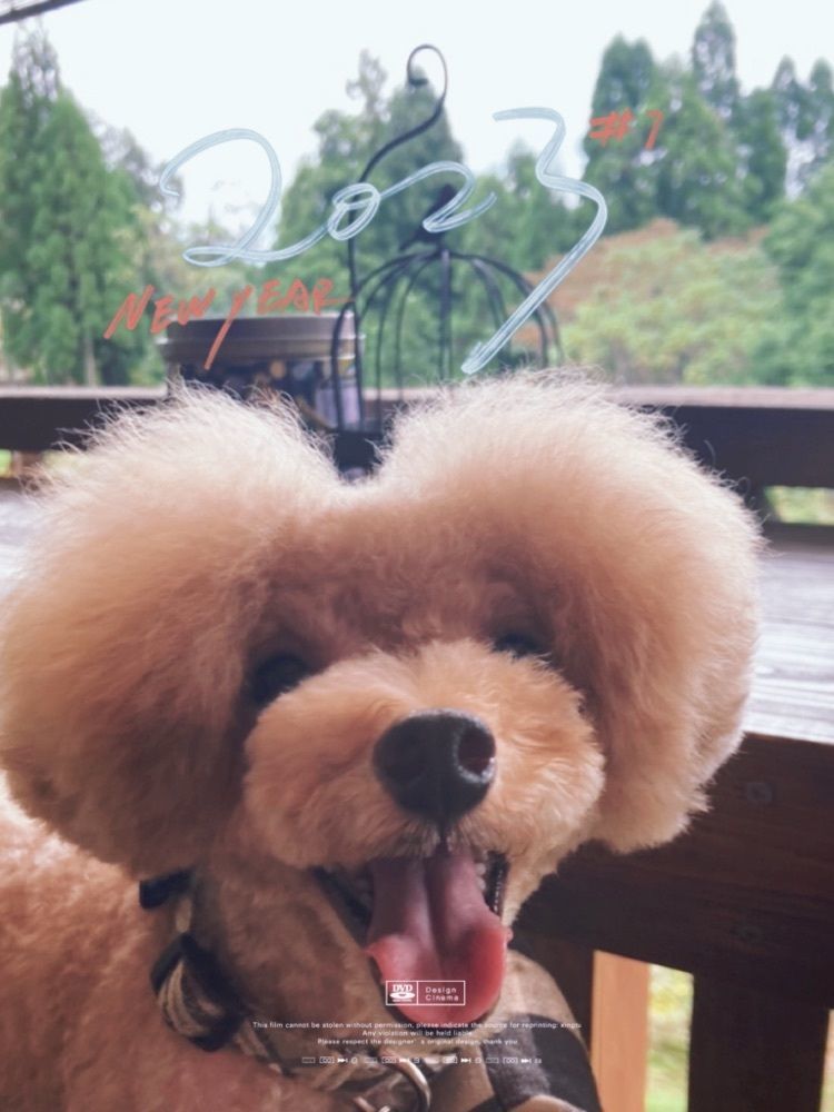 coco