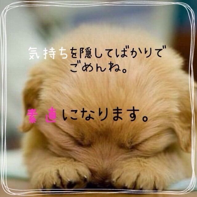 なおなお