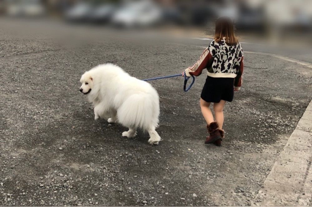 いちごちゃんはわがまま