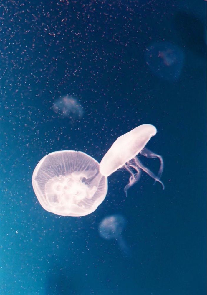 な