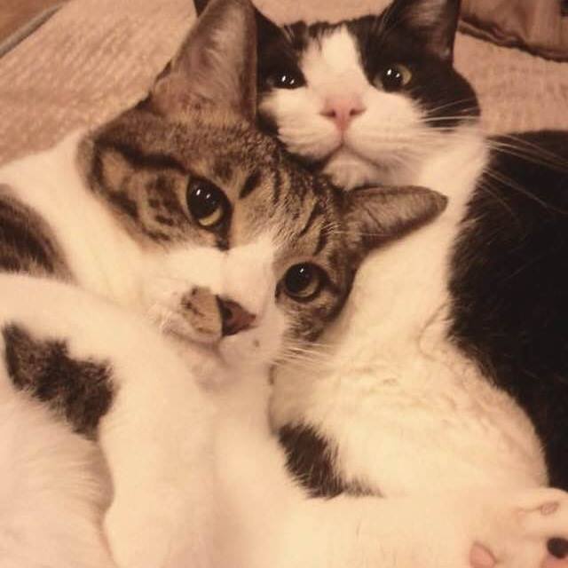 あき
