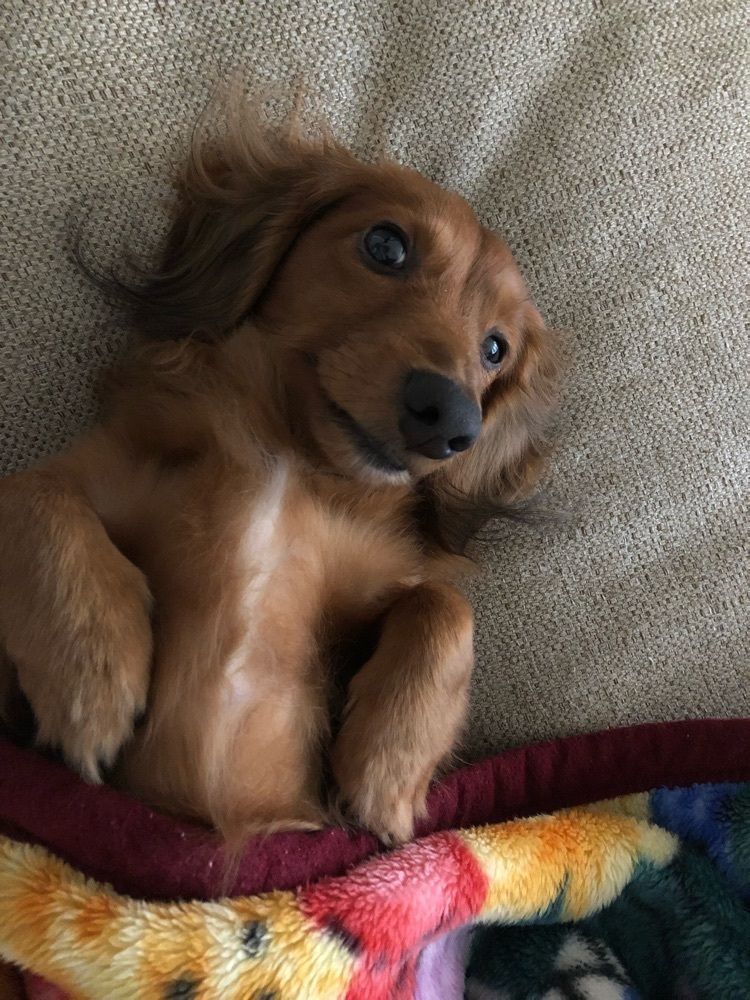 たけ