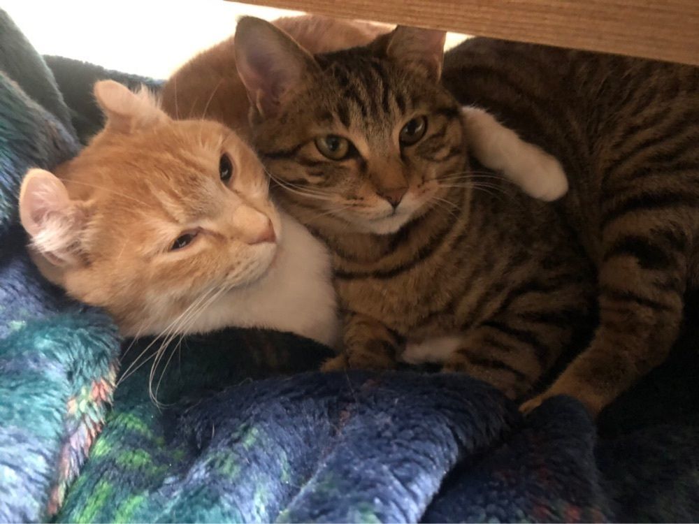 サブ&クル
