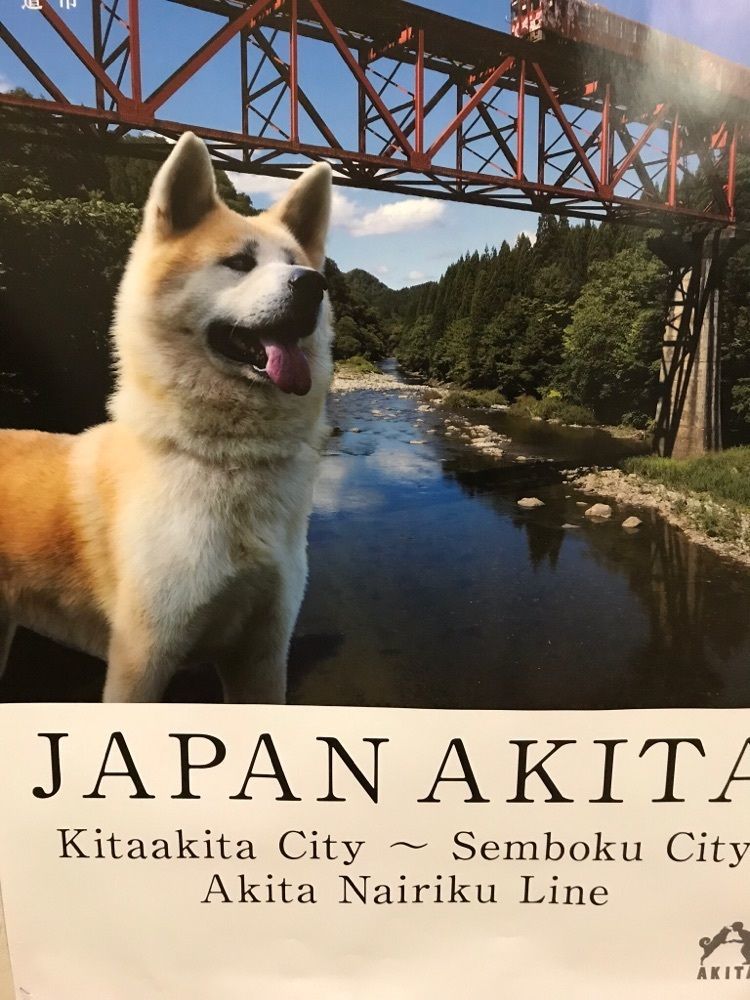 シュウ