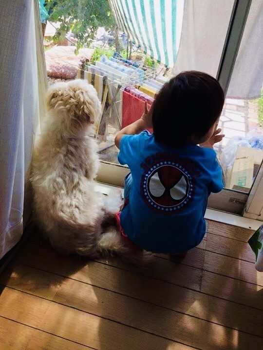 よっしー