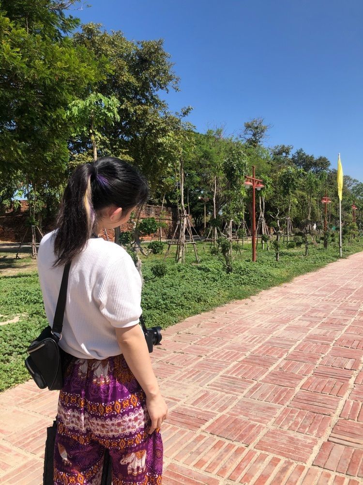 noa_1299