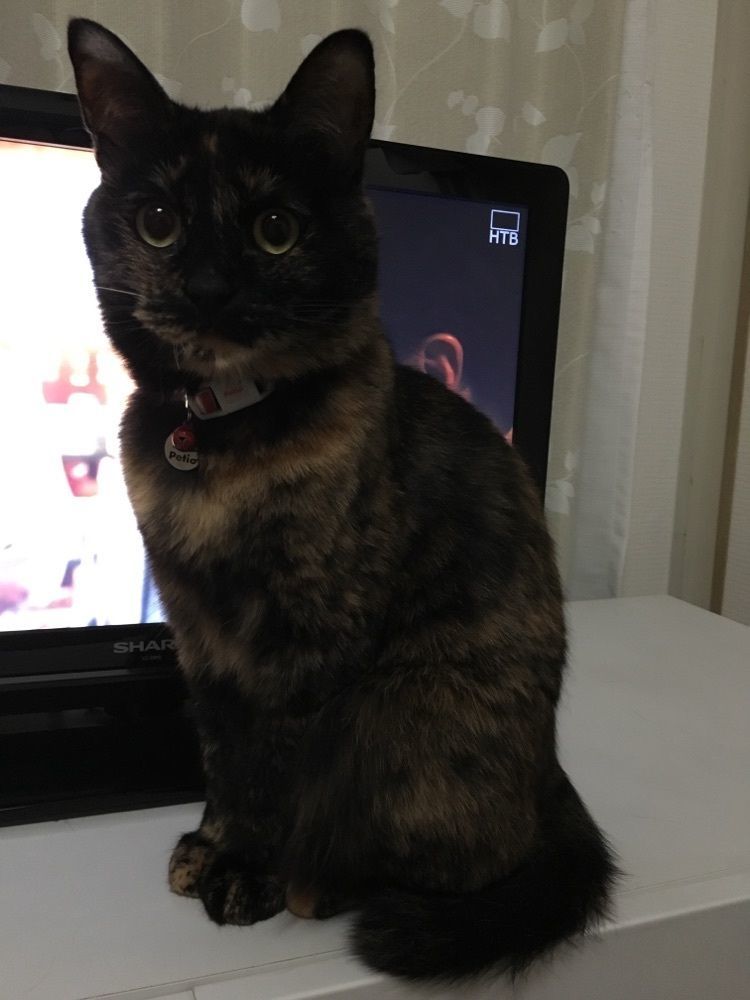 あ