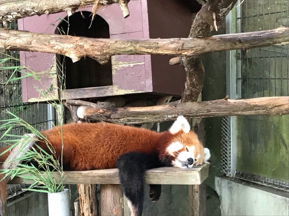 とよとよ