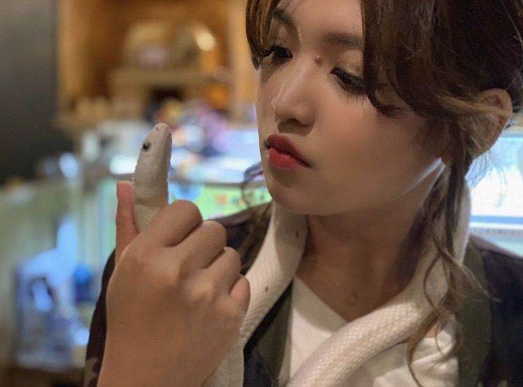 miju