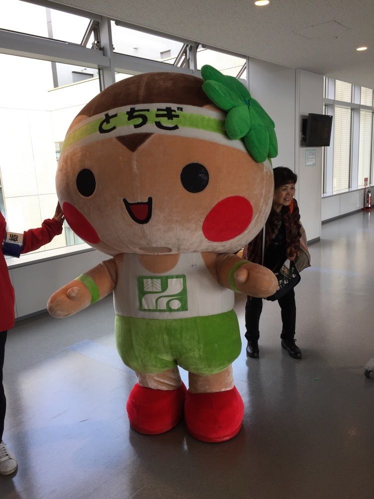エコ