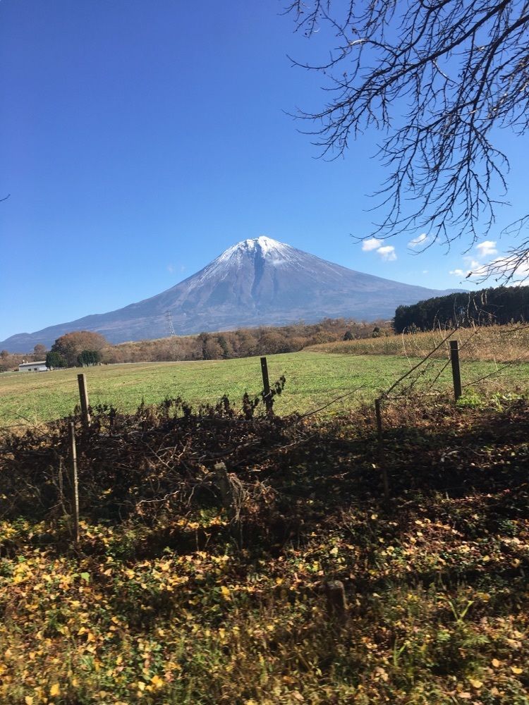 ヘボロン